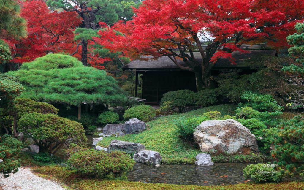 Hidden Inn Shimogamo Quioto Exterior foto